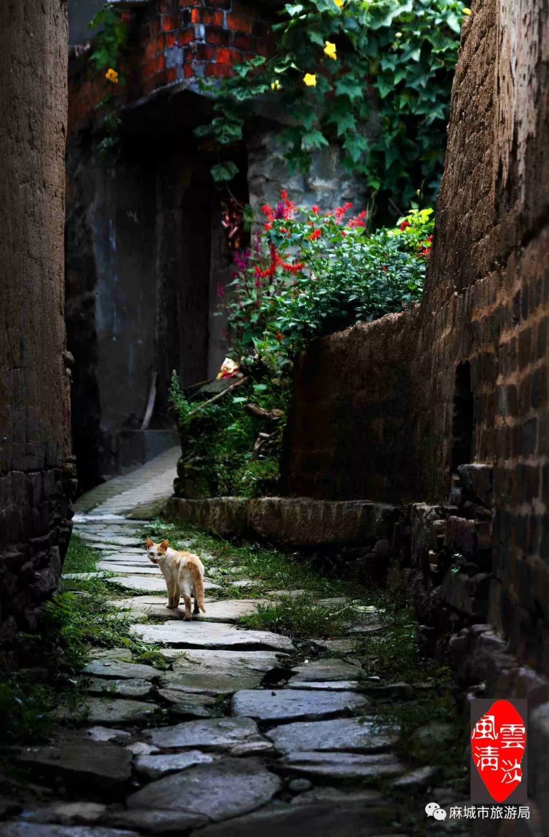 世外若有桃源,当如麻城东垸村——秀美山乡,岁月温柔