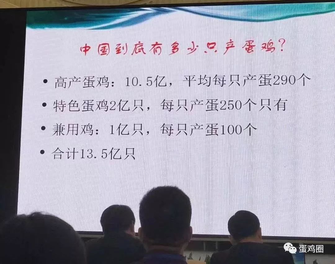 宁中华:2019年蛋鸡行情及行业重点事件分析