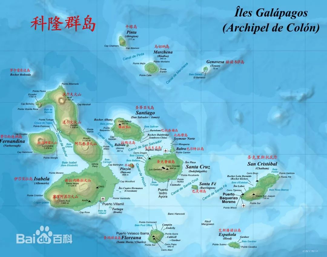 海陆空，加拉帕戈斯最有深度的系列资讯之《鲨鱼篇》