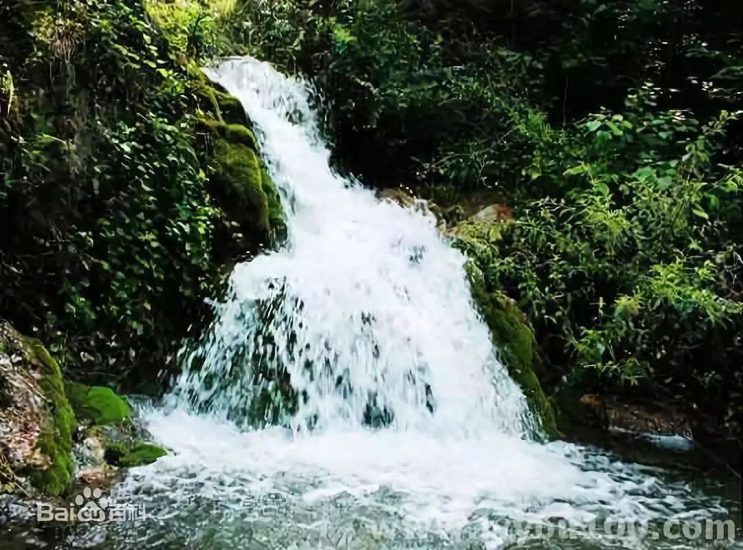 靳秀萍 | 郧西印记之龙潭河