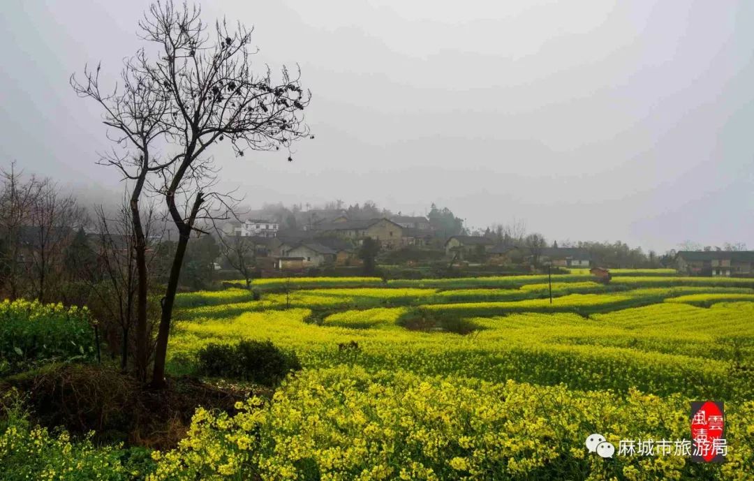 世外若有桃源,当如麻城东垸村——秀美山乡,岁月温柔