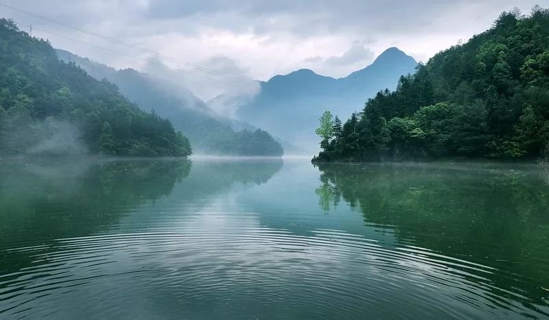 中国天然氧吧 来庆元,享受醉氧的感觉