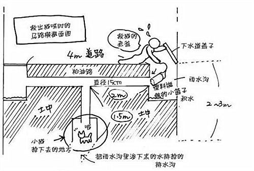 暖心！老人自發研制工具，歷時一周終於成功救出下水道裡的小貓 萌寵 第4張