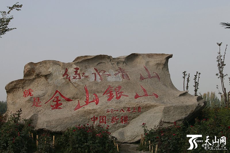 传承"柯柯牙精神",阿克苏地区打造生态治理先行区