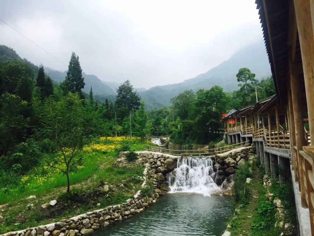 春芽村是位于彭州市通济镇东北部的高山村,海拔高达1750米,正所谓山高