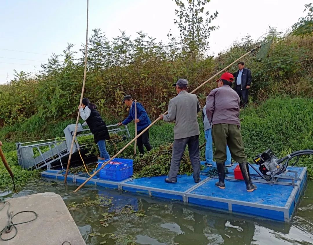 请捞水草中