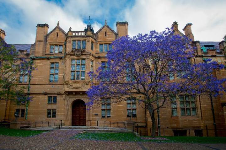 4,新南威尔士大学 the university of new south wales