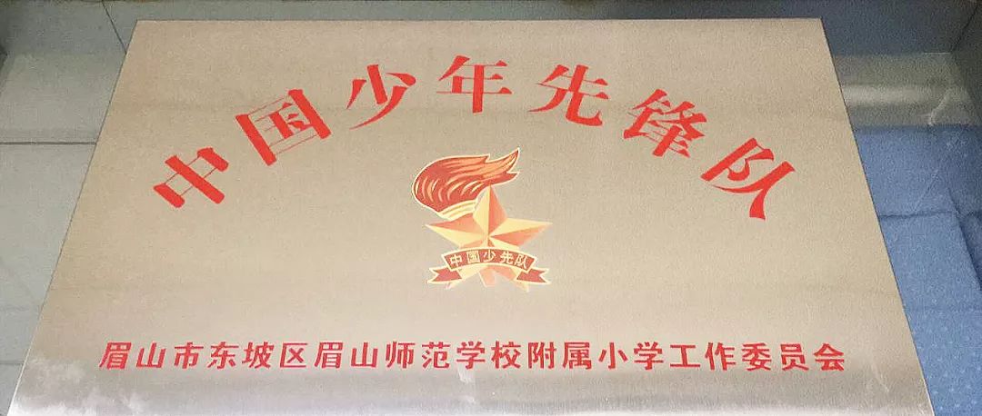 东坡区各中小学少工委成立啦来看看你们学校的风采