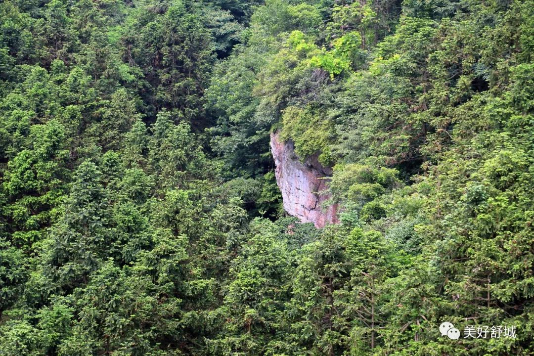 舒城县五显镇的石关风景区老虎谷之上,有一个"半仙庐",一人自诩"半仙