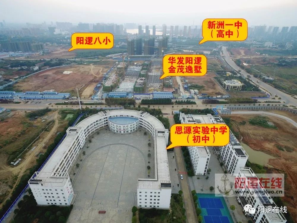 小学:阳逻之心区域(新洲一中阳逻校区至中山医院之间)将新建阳逻八小