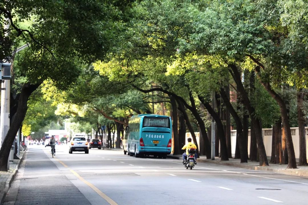 国顺路位于杨浦区五角场街道辖区范围