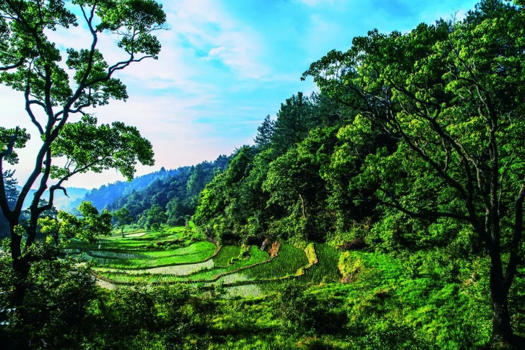 中华民居"谷道" ‖一念谷:大别山古村驭梦起飞