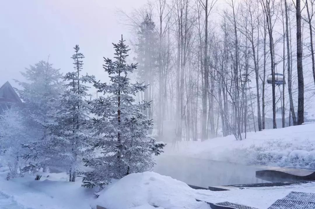 年末滑雪计划 在鹅毛大雪里完成2018清单!