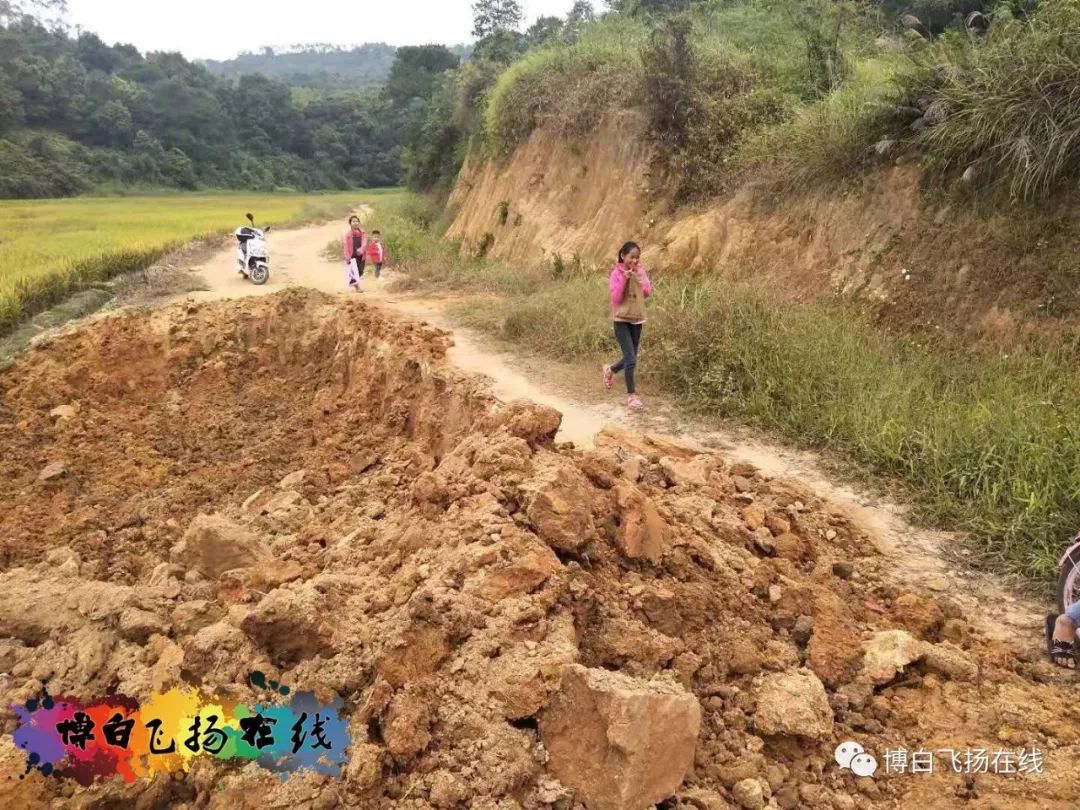 博白村人口查询_博白径口镇三育村图片