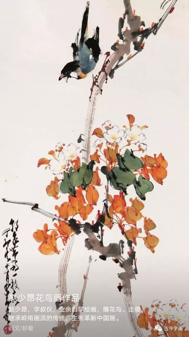 赵少昂花鸟作品欣赏