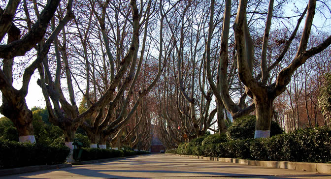 高校风光之南京邮电大学