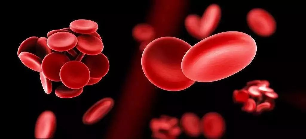 世界血栓日日 | 关于血栓标志物之一的d-二聚体