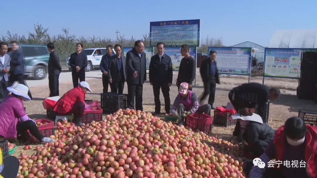 徐世林还前往会宁县河畔镇冯堡村苹果产业基地,河畔肉羊市场和郭城驿