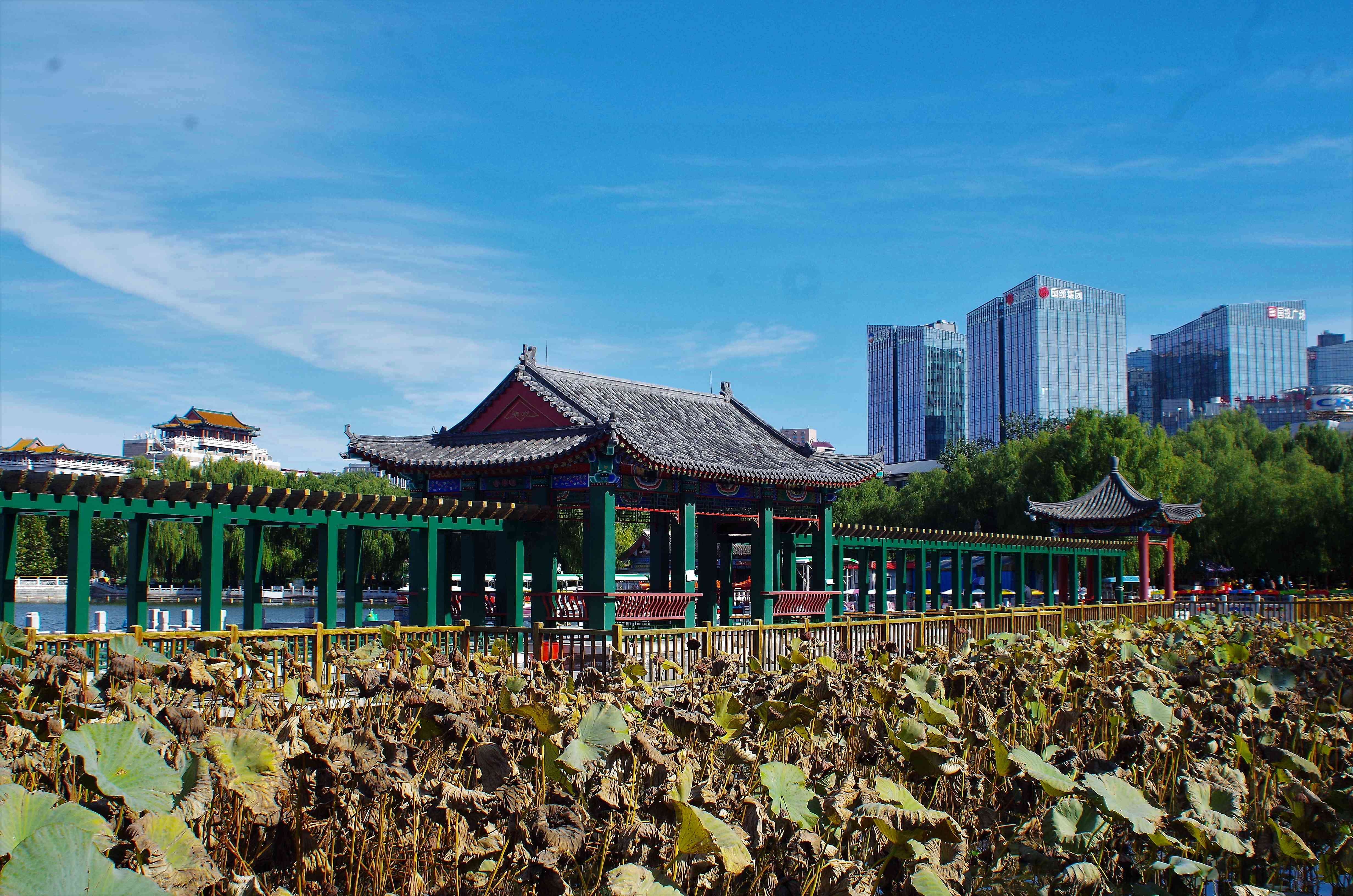 闲走北京之莲花池公园-先有莲花池后有北京城(丰台区)