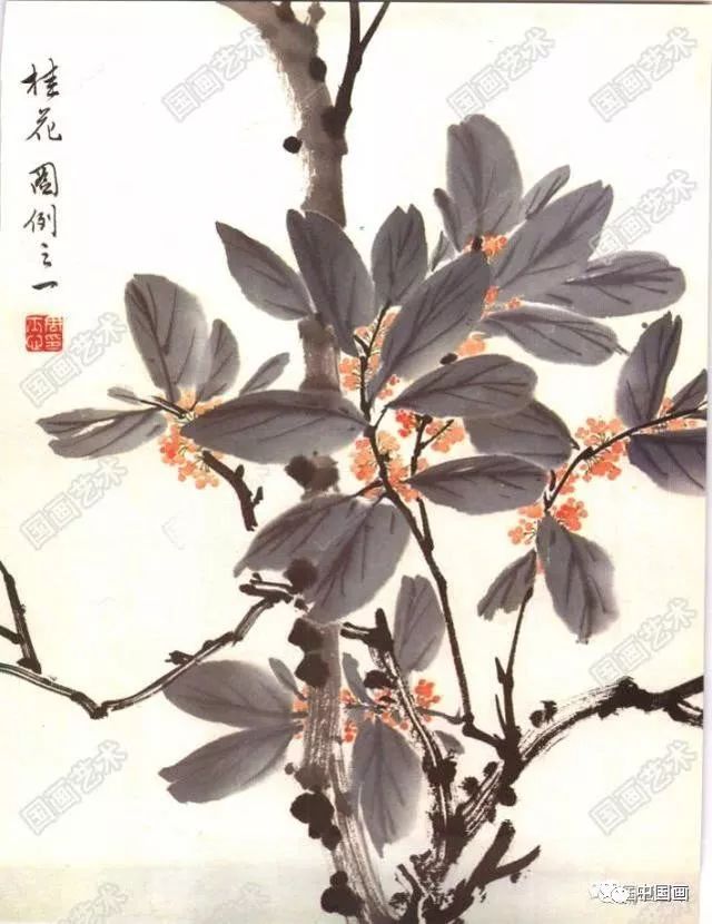 怎样画桂花,国画桂花的画法步骤