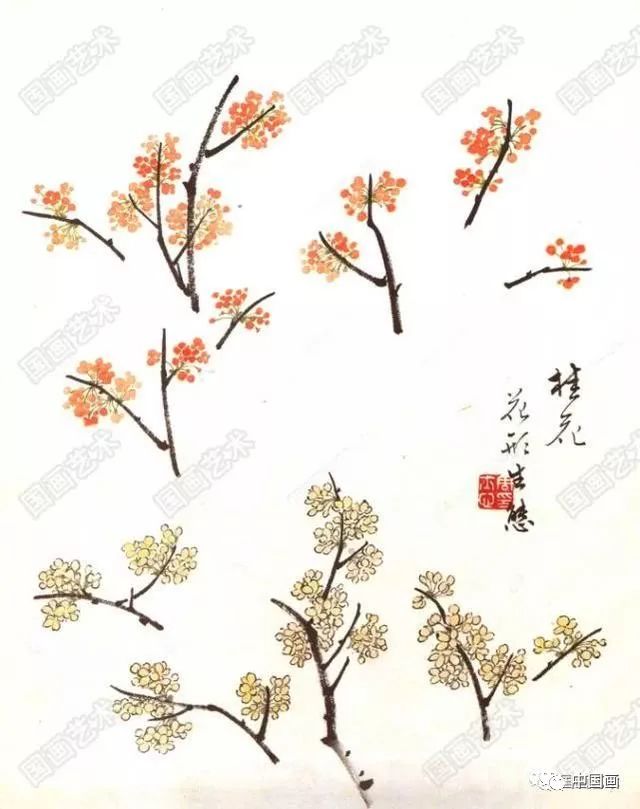 怎样画桂花,国画桂花的画法步骤