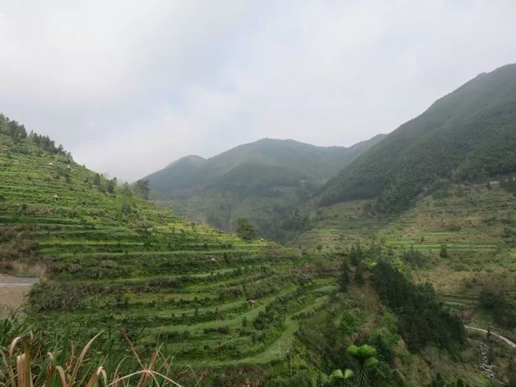 大山深处的古村落源头村