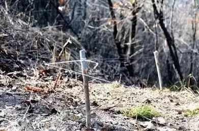 万州区燕山乡的两村民私设电网防野猪,结果一死一获刑