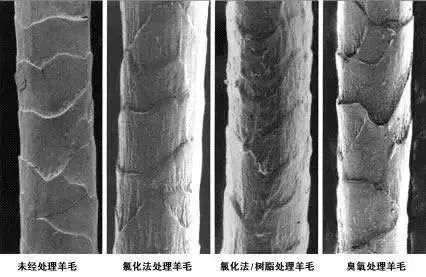 毛裤起球怎么办