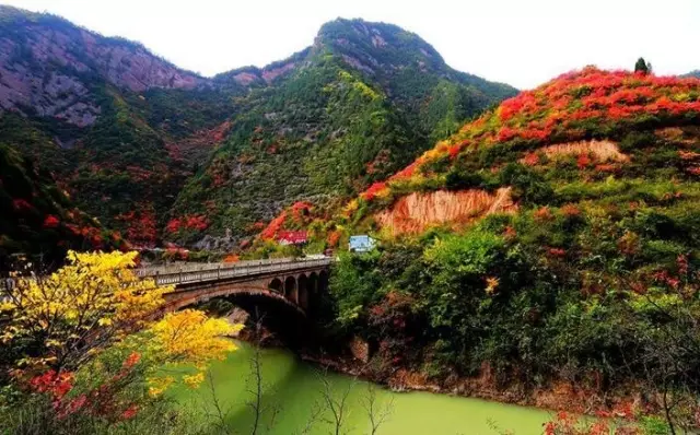 甘肃两当万花皆落尽层林尽染万山红遍美了醉了