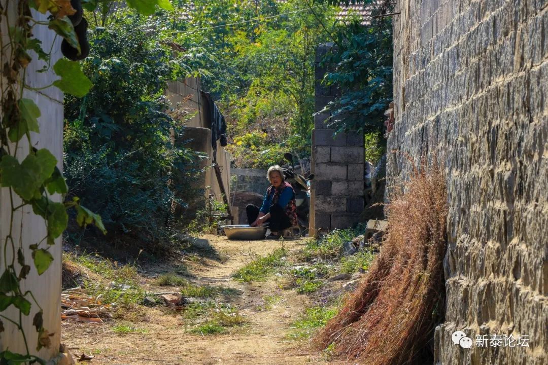 《新泰市村落地名志》新甫街道下西峪村