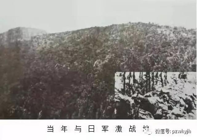 邳州人民在徐州会战中的历史贡献之四:禹王山阻击战的