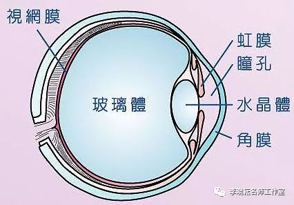 【fm科学电台】我们眼睛里的"小虫"到底是什么?_玻璃体