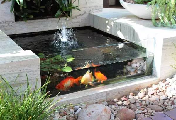 水景鱼池你家里的只能算是玻璃缸