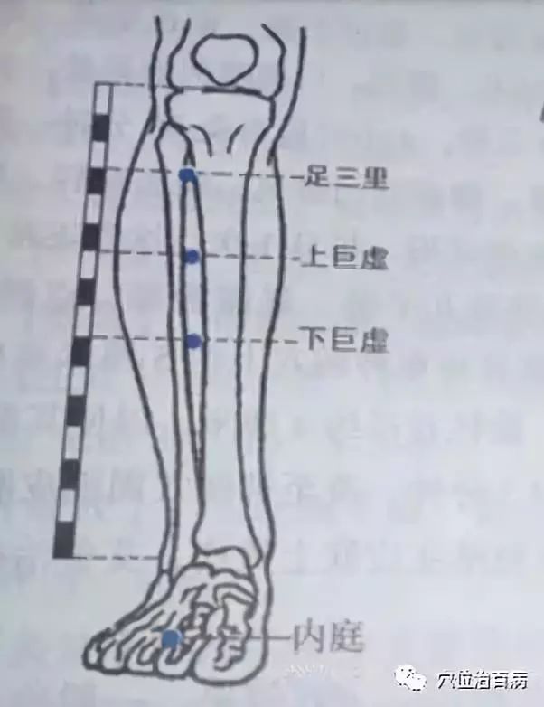 健康 正文  四季健脾处方: 经络处方:经常敲一敲足三里穴,上巨虚穴,下