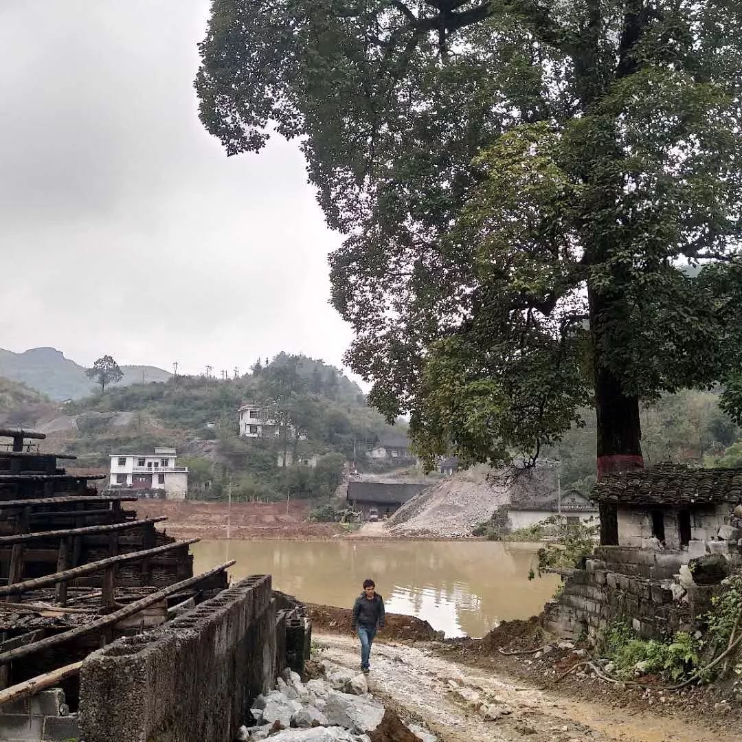 笔者10月14日在花垣县龙潭镇李梅村看到,李梅矿区拆旧增减挂钩项目