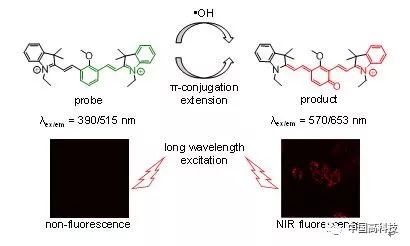 前沿科技 中科院科学家研制出新的高灵敏羟基自由基光学探针