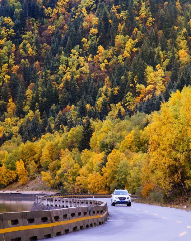 大西北的美景，已经在这个秋天变成最美的模样，就等你去发掘
