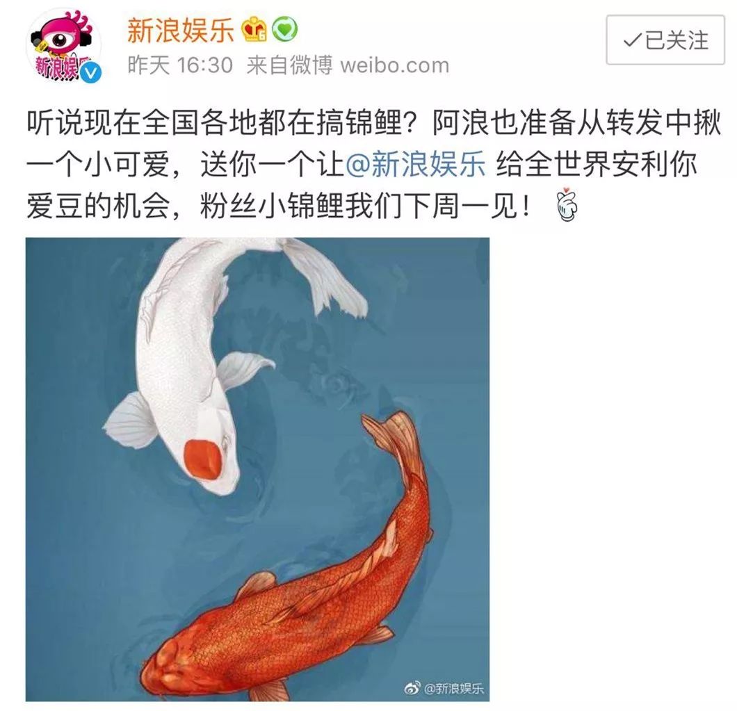 锦鲤 热词 热图7