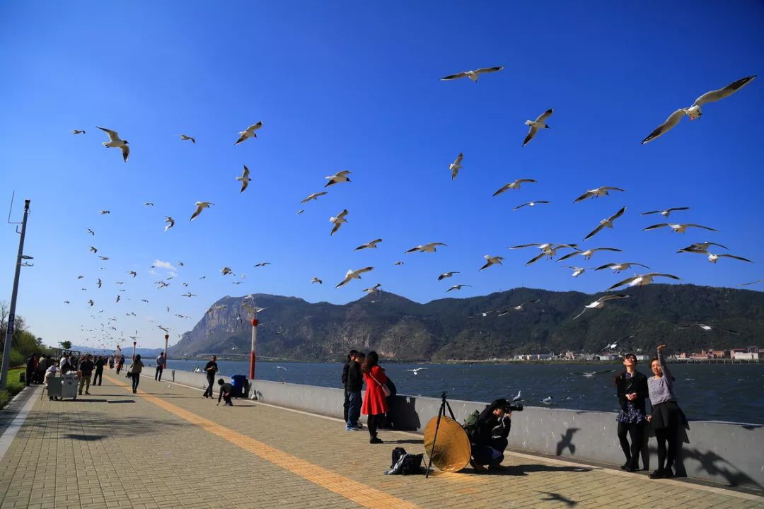 海埂大坝