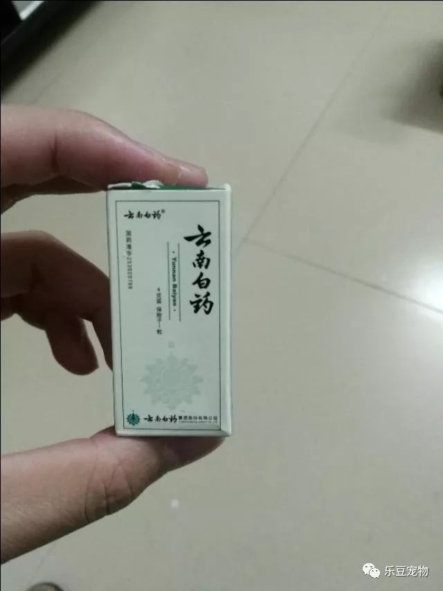 愛犬遭遇細小，我把它從鬼門關又拉了回來，送上詳細配方！ 萌寵 第8張