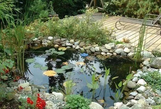 让人心生禅意的庭院池塘设计