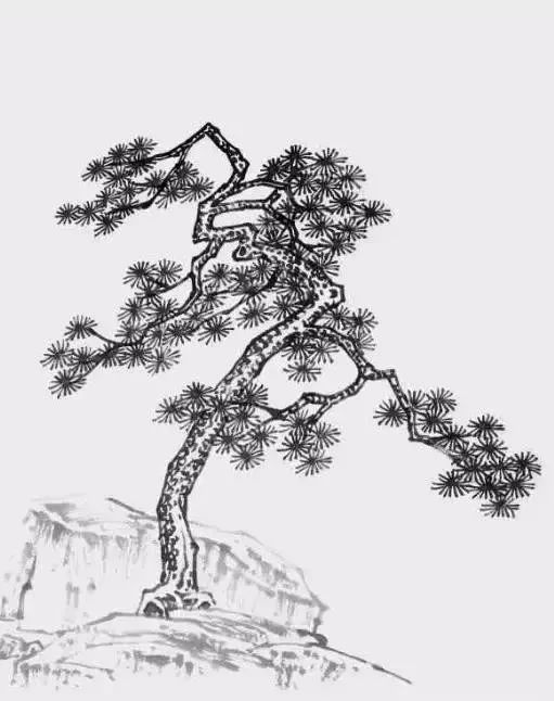 国画松树的画法:松果,松干,松针,简直就是点,线,面的转换