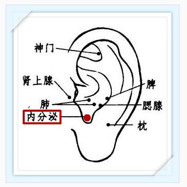 作用:降压沟是我们耳朵上降压的一个反应点,所以按摩降压沟可以间接