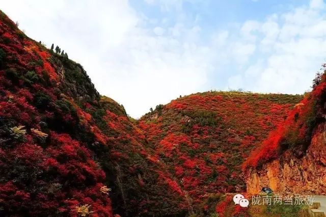 【绚丽红叶醉两当·问道太极康养地】陇南市第五届导游讲解员服务技能