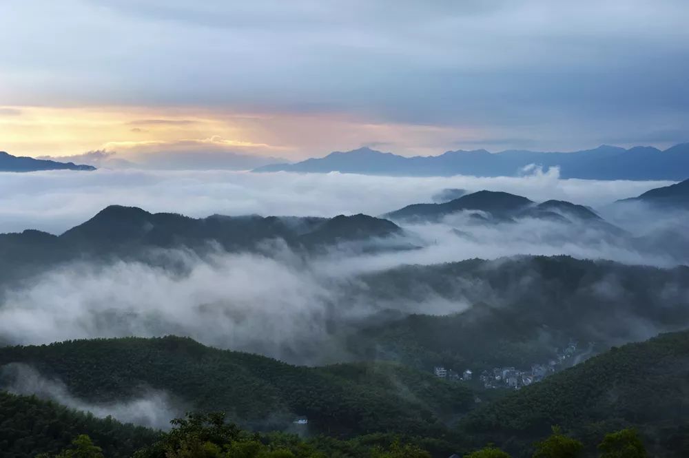 《春江如画,是郁达夫侄女郁风带着高明义先生在渌渚镇新港村拍摄的