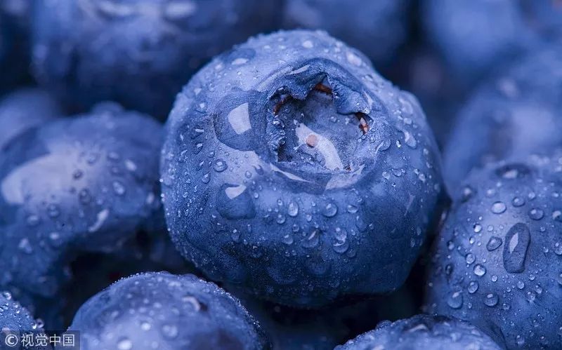 蓝色的果实就不那么诱人了 吃的人少 所以自然界中的蓝色果实比较少