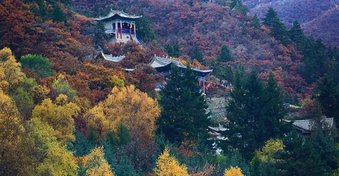 修建于兴隆山的蒋介石行宫小巧玲珑庄严深邃"风雨重阳后,同舟共济时青