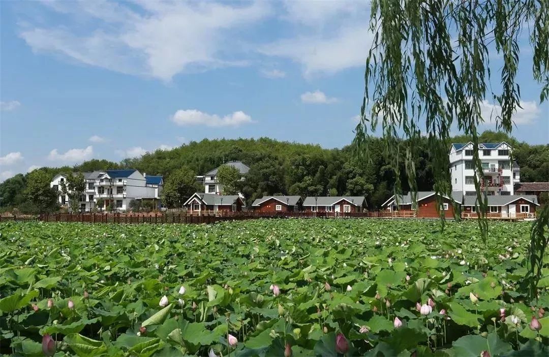 2018首届"大美上饶"乡村旅游文化节推介——精品乡村游线路!