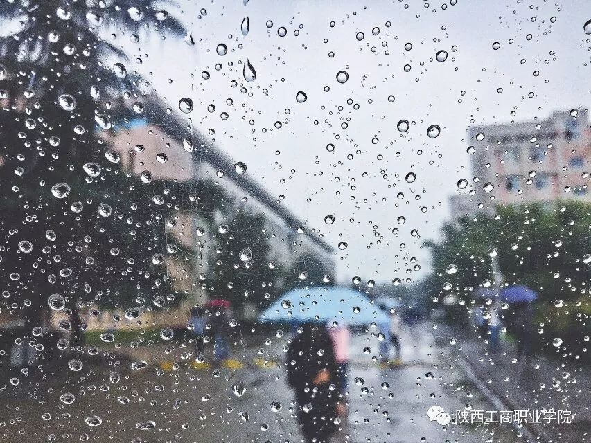 如期而至 | 每张都适合做屏保的秋雨图