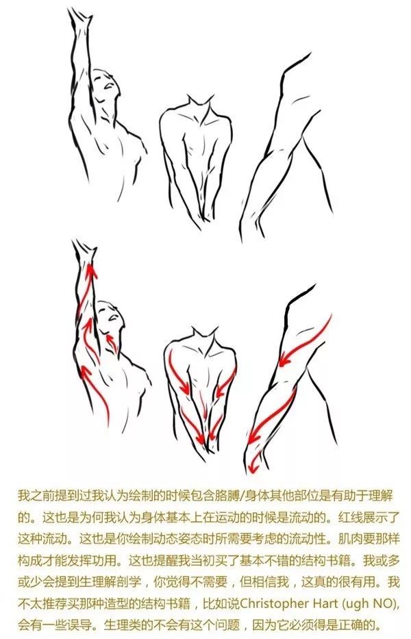 关于胳膊/手/腿/脚,人体四肢绘画教程